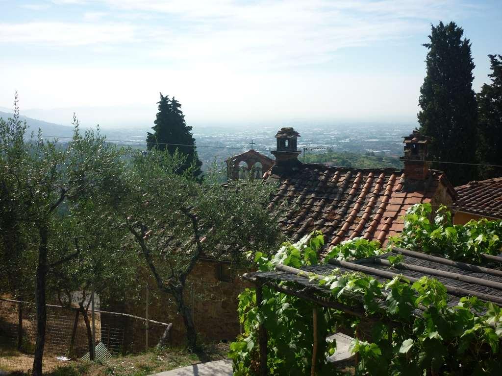 Vendita vendita, Capannori foto