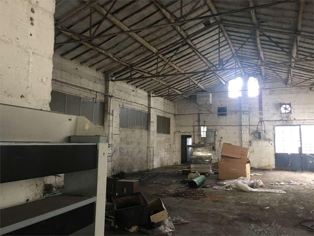 Vendita vendita, Capannori foto