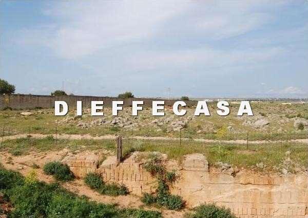 Vendita vendita, Marsala foto