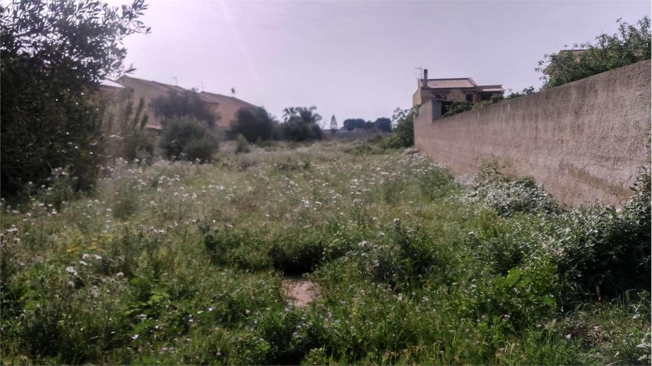 Vendita vendita, Marsala foto