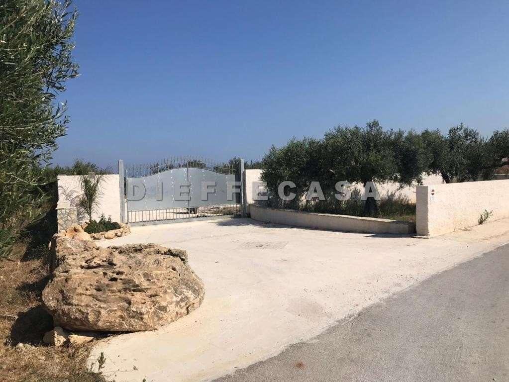Vendita vendita, Marsala foto