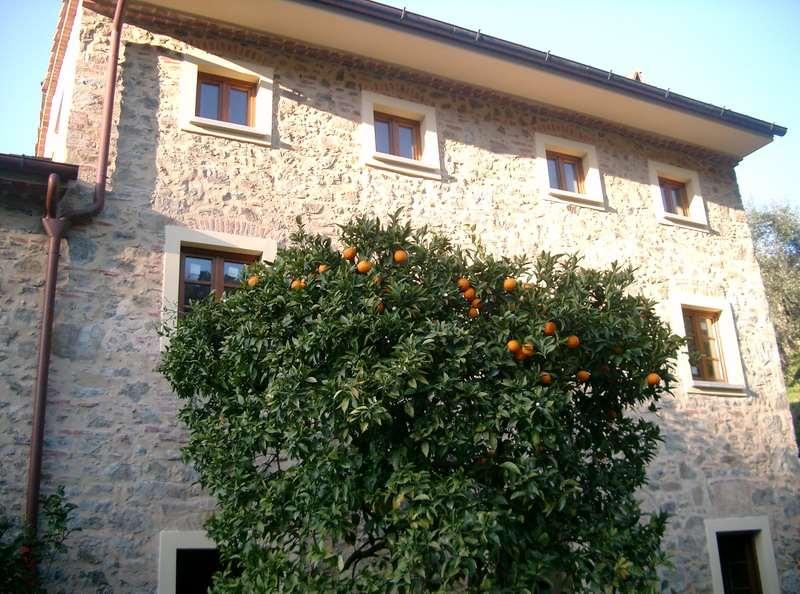 Vendita vendita, Massarosa foto