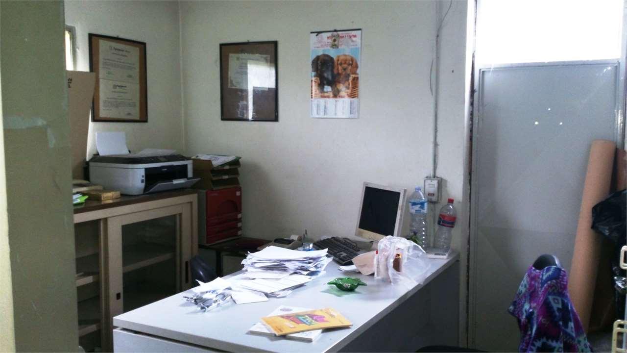 Vendita vendita, Capannori foto