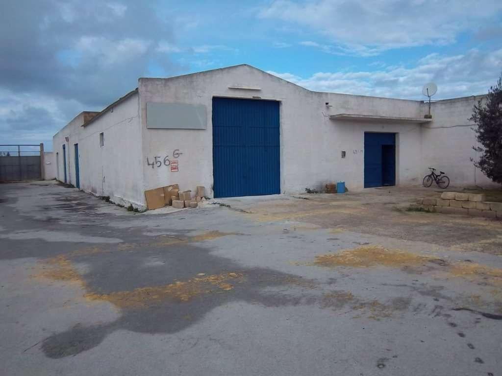 Affitto affitto, Marsala foto