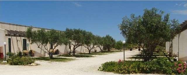 Affitto affitto, Marsala foto