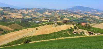 Vendita vendita, Montecalvo in Foglia Vendita vendita, Montecalvo in Foglia