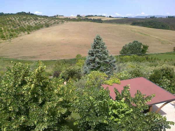 Vendita Eptavani, Monteroni d'Arbia foto