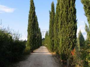 Vendita Case, Poggibonsi