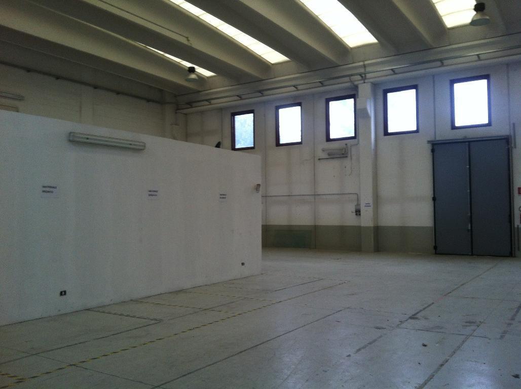 Vendita Industriale, Capannori foto
