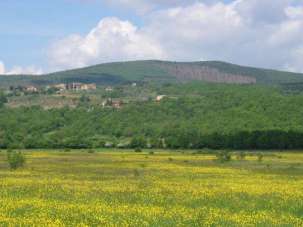 Vendita Quadrivani, Monteriggioni
