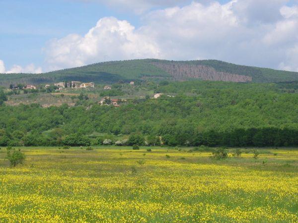 Vendita Quadrivani, Monteriggioni foto