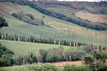 Vendita Quadrivani, Monteroni d'Arbia Vendita Quadrivani, Monteroni d'Arbia