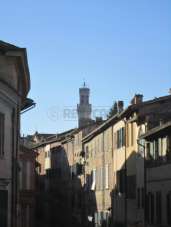 Vendita Quadrivani, Siena