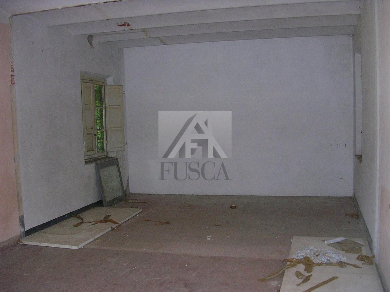 Vendita Multivani, Lucca foto