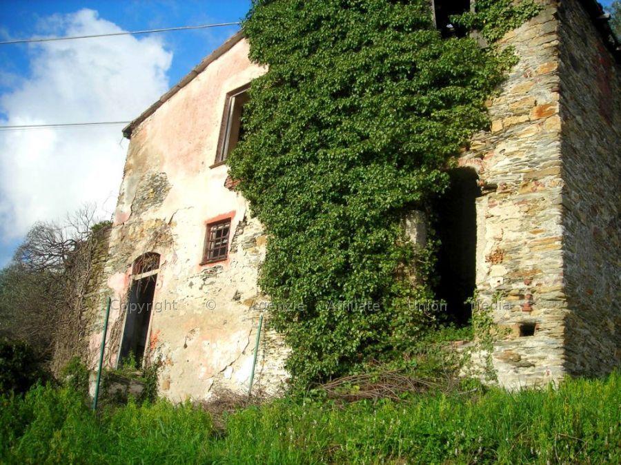 Vendita Multivani, Lavagna foto