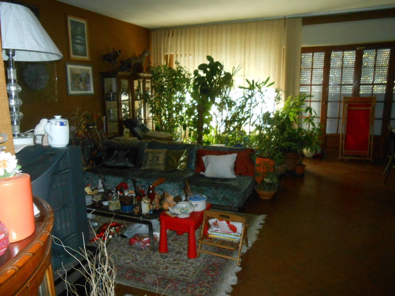 Vendita Esavani, Lucca foto