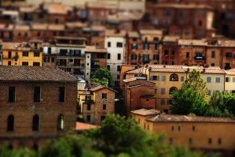 Vendita Quadrivani, Siena