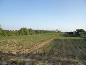 Vendita Monovano, Villanova di Camposampiero Vendita Monovano, Villanova di Camposampiero