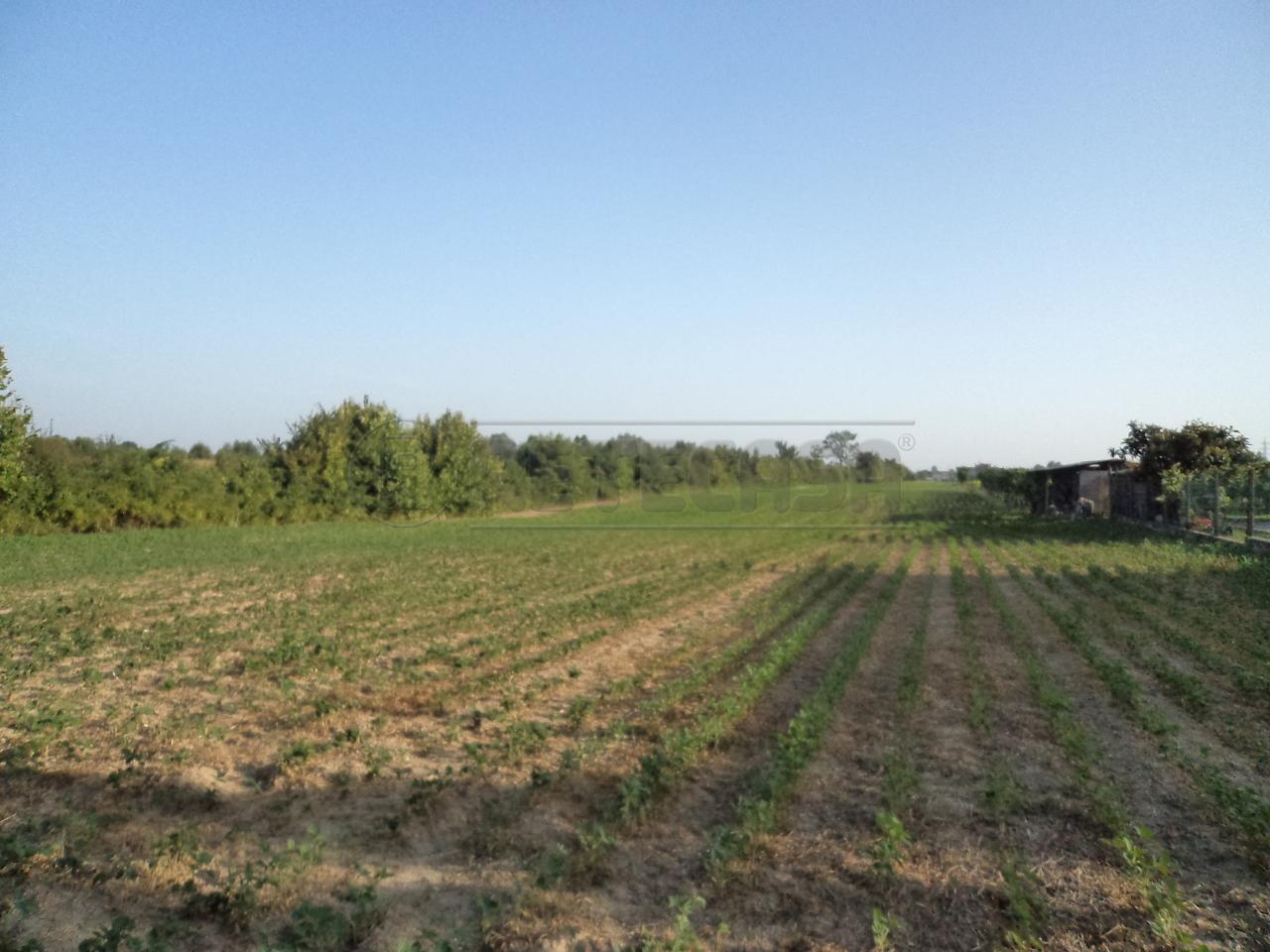 Vendita Monovano, Villanova di Camposampiero foto