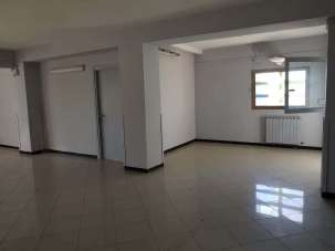Affitto Trivani, Capannori Affitto Trivani, Capannori