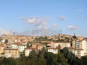 Vendita Quadrivani, Siena Vendita Quadrivani, Siena