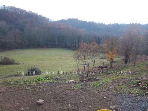 Vendita Case, Bagnone foto