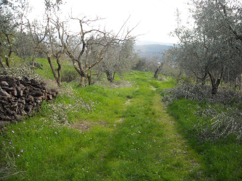 Vendita Monovano, Montale foto
