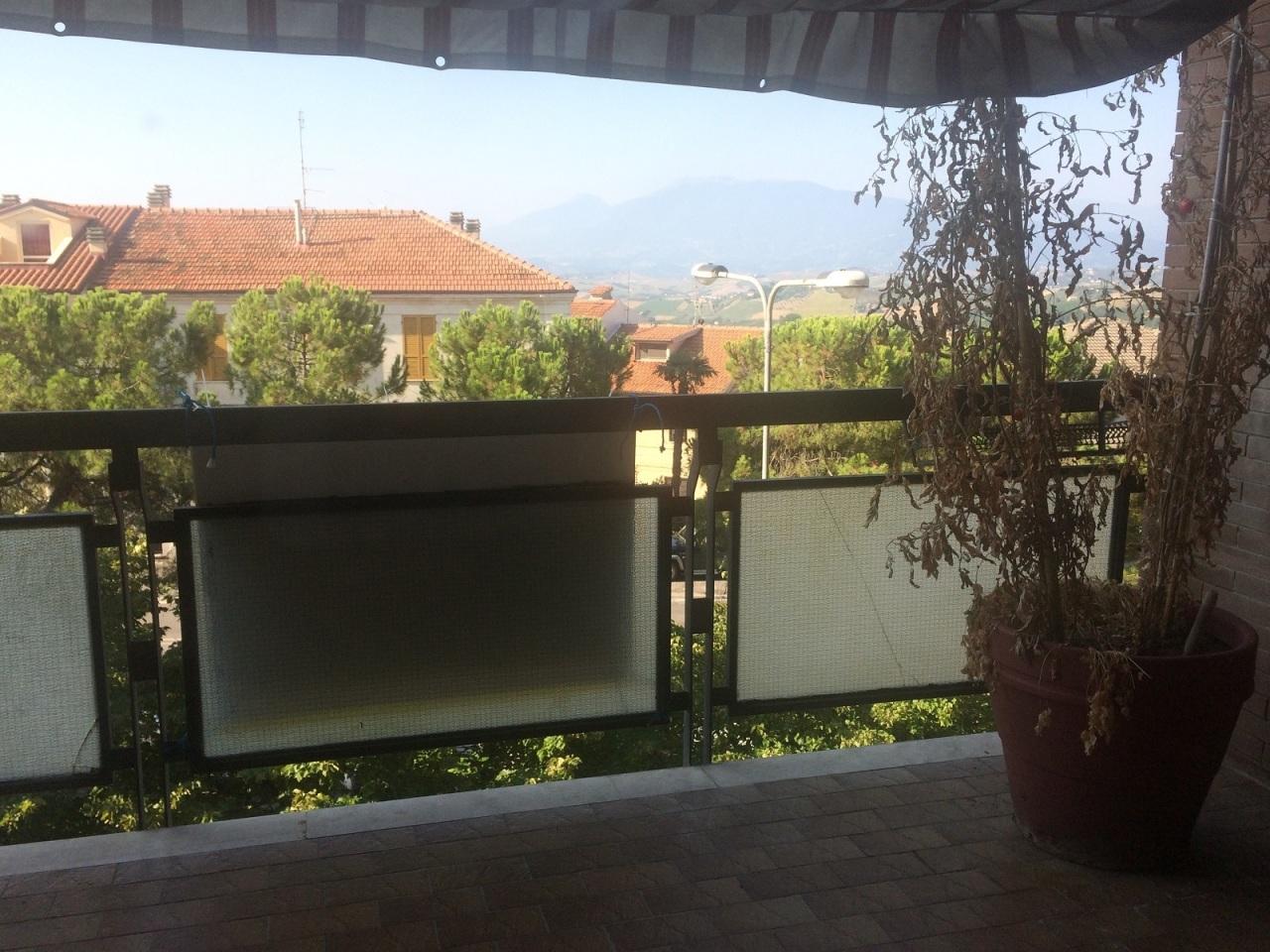 Vendita Eptavani, Offida foto
