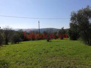 Vendita Terreni, Casciana Terme Lari