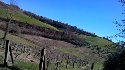 Vendita Terreni, Lugnano in Teverina