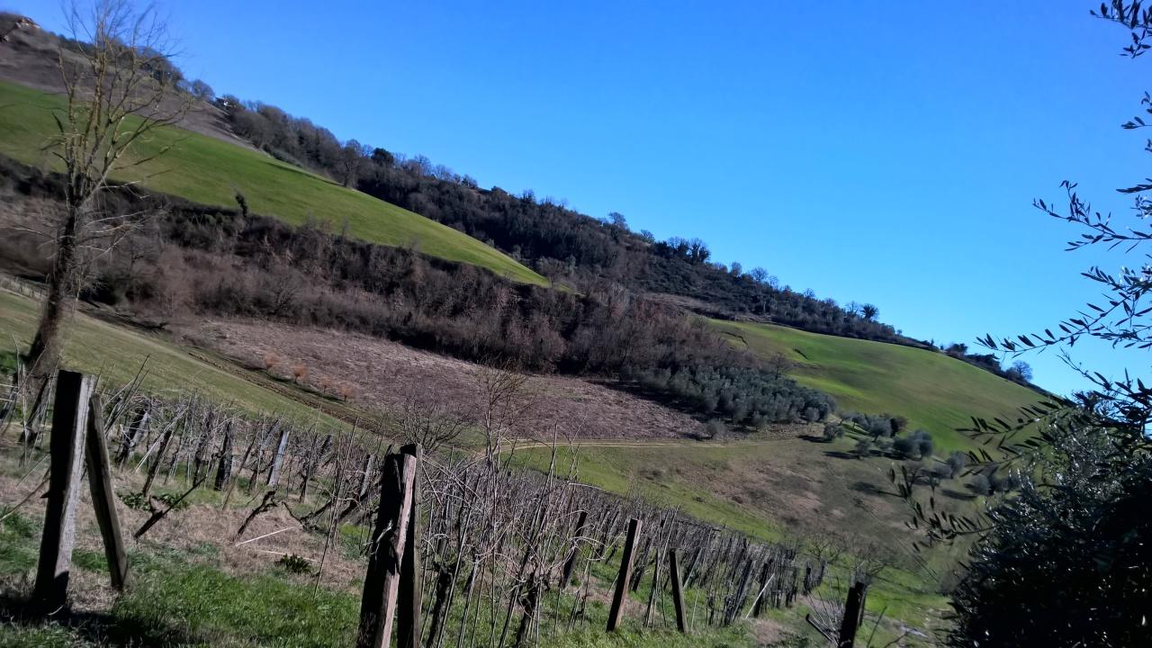 Vendita Terreni, Lugnano in Teverina foto