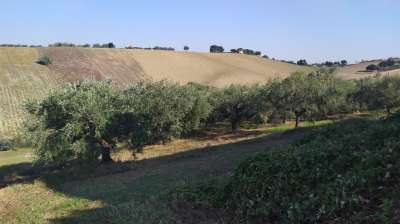 Vendita Monovano, Manoppello Vendita Monovano, Manoppello
