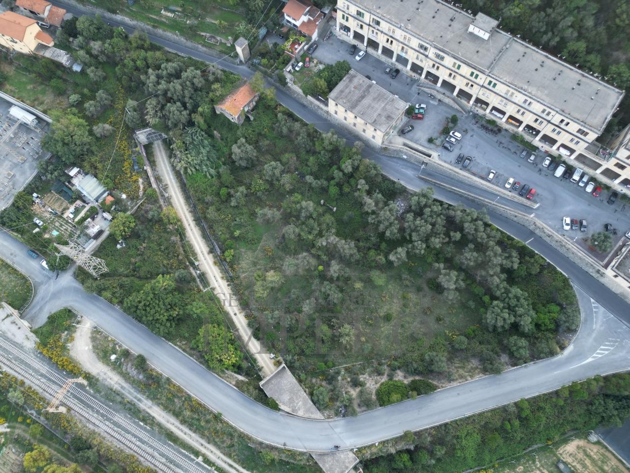 Vendita Pentavani, Ventimiglia foto