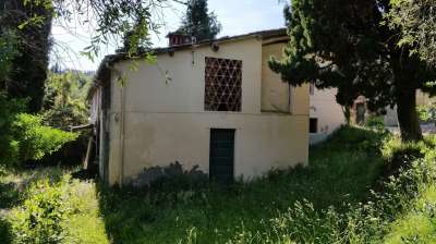 Vendita Multivani, Lucca Vendita Multivani, Lucca