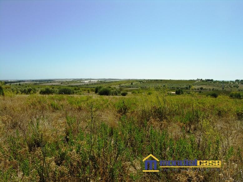 Vendita Loft, mansarde e attici, Noto foto