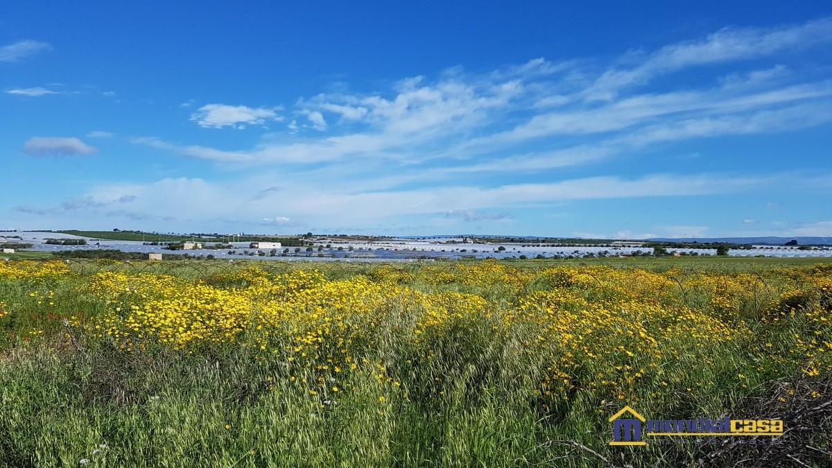 Vendita Loft, mansarde e attici, Noto foto