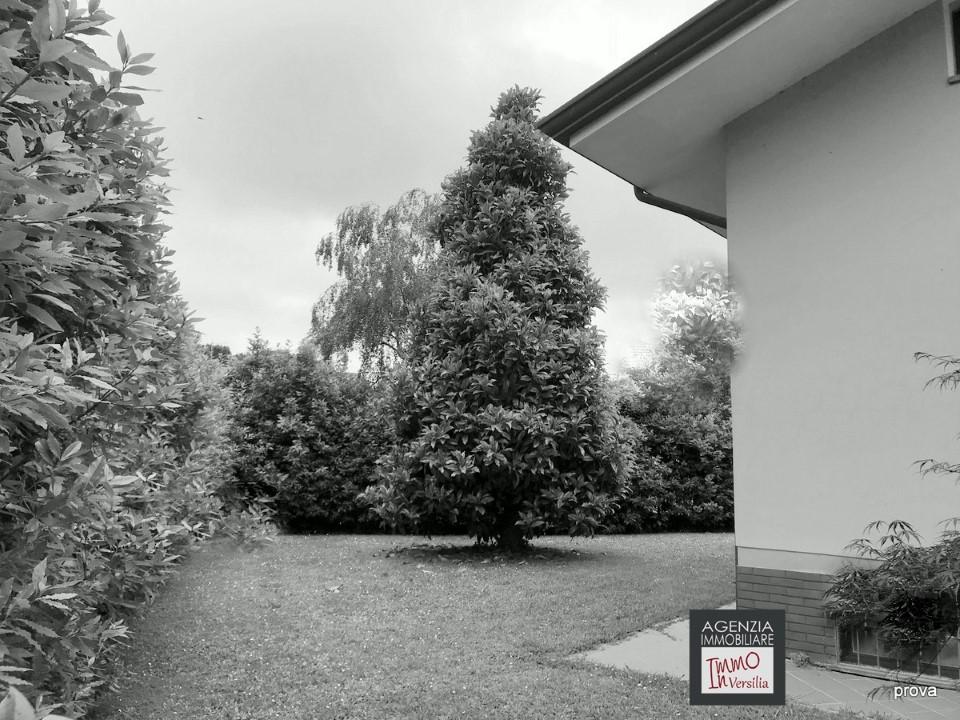 Vendita Multivani, Massarosa foto