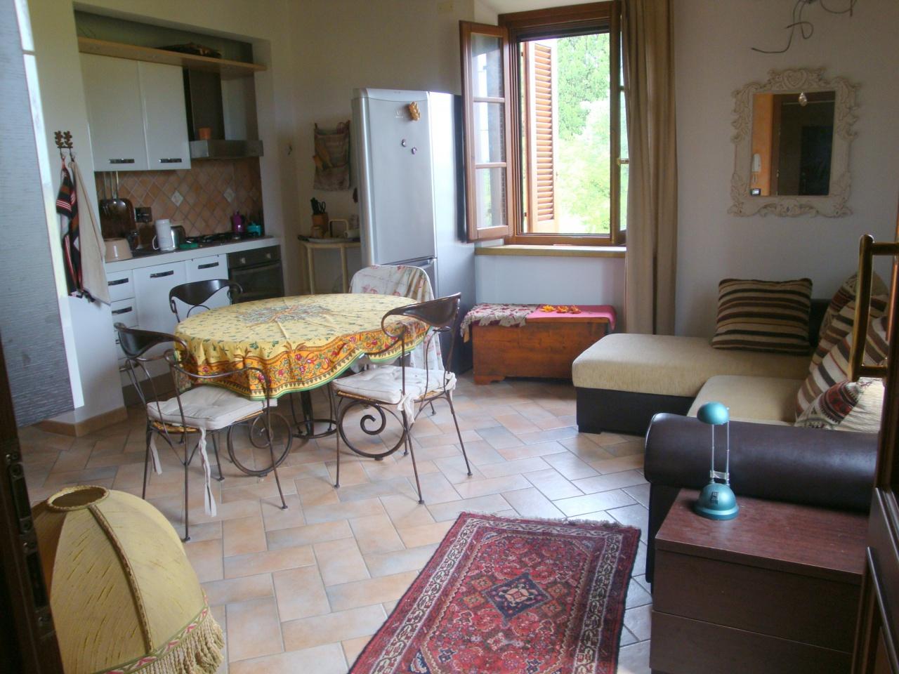 Vendita Bivani, Rosignano Marittimo foto
