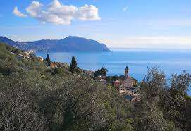 Vendita Multivani, Pieve Ligure Vendita Multivani, Pieve Ligure