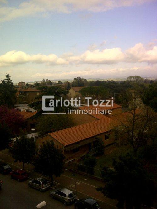 Vendita Pentavani, Grosseto foto
