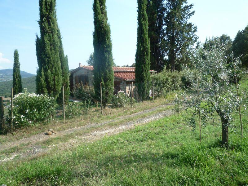 Vendita Bivani, Montecatini Val di Cecina foto