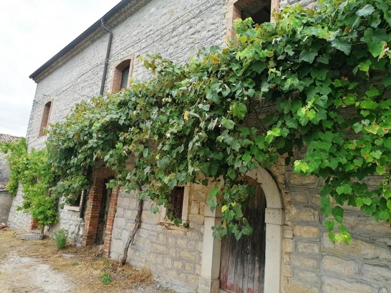 Vendita Casa indipendente, Sessano del Molise foto