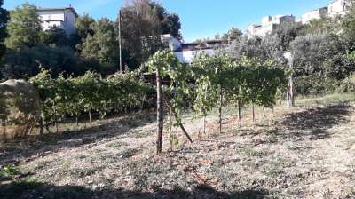 Vendita Casa indipendente, Rapino Vendita Casa indipendente, Rapino