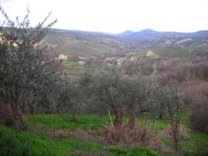 Vendita Casa indipendente, Roccamontepiano Vendita Casa indipendente, Roccamontepiano