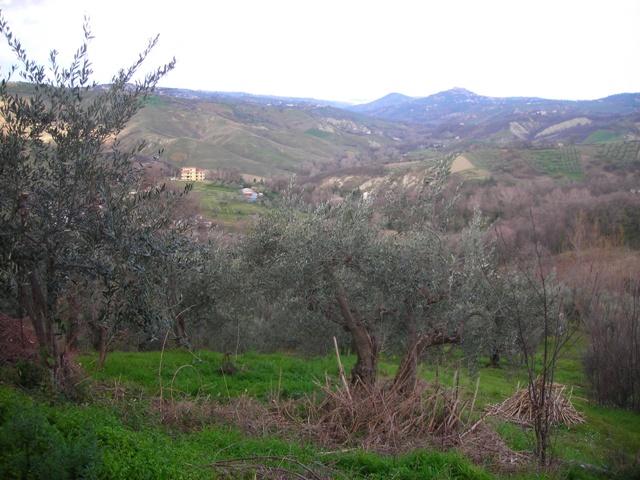 Vendita Casa indipendente, Roccamontepiano foto