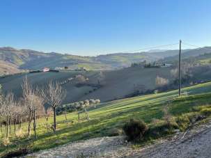 Vendita Casa indipendente, Castignano Vendita Casa indipendente, Castignano