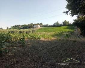 Vendita Terreno, Senigallia Vendita Terreno, Senigallia