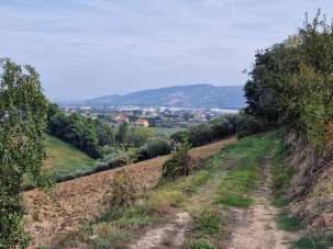 Vendita Terreno, Monsampolo del Tronto Vendita Terreno, Monsampolo del Tronto