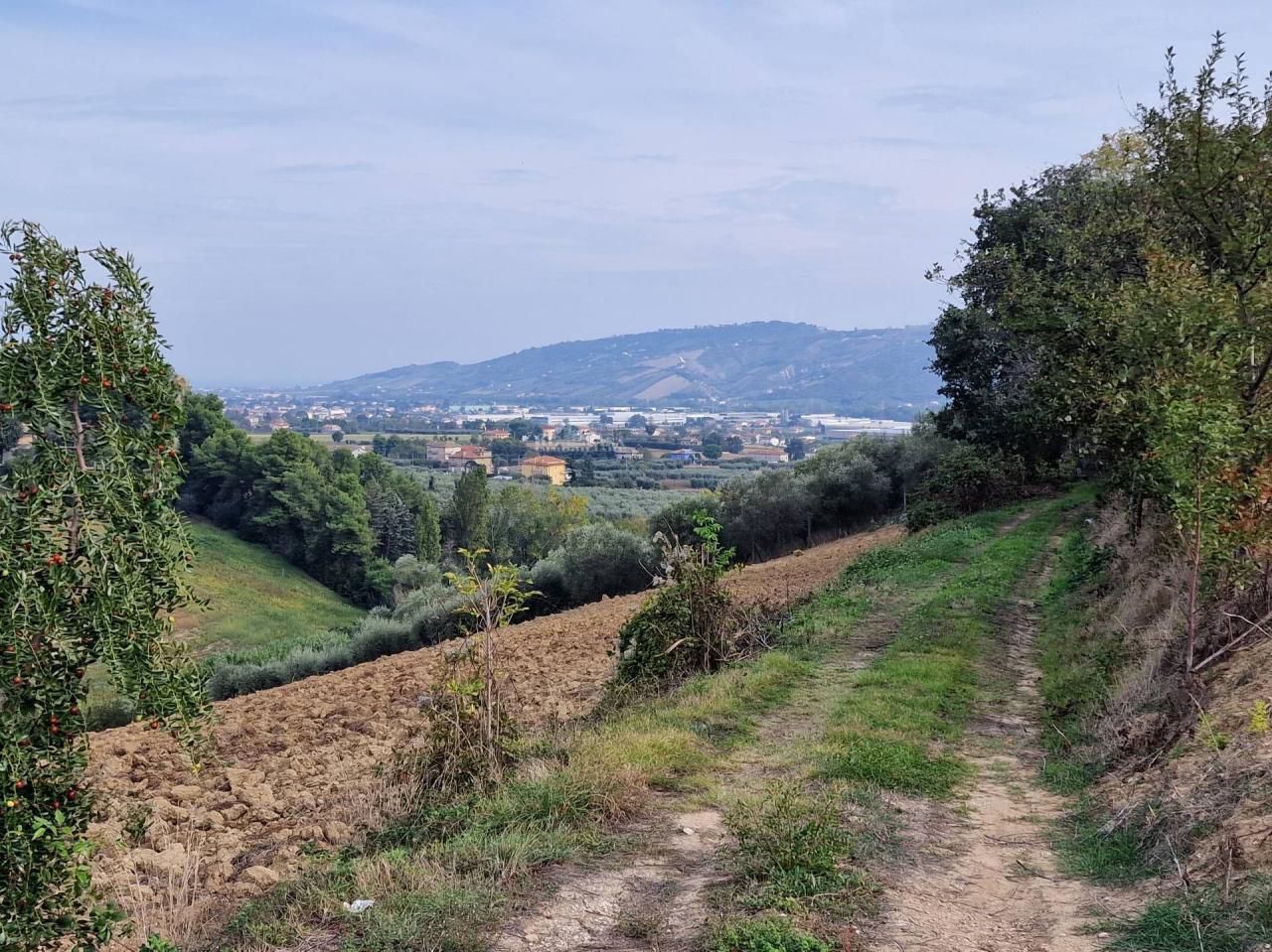 Vendita Terreno, Monsampolo del Tronto foto