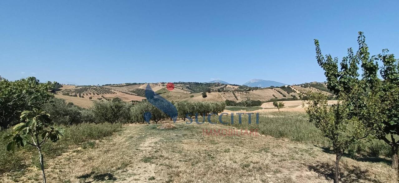 Vendita Casa indipendente, Bellante foto